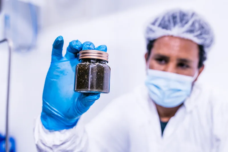 Employer Branding — Teamkultur